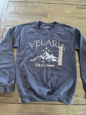 Target Navy Velaris Crewneck Sweatshirt with Mountain Graphic